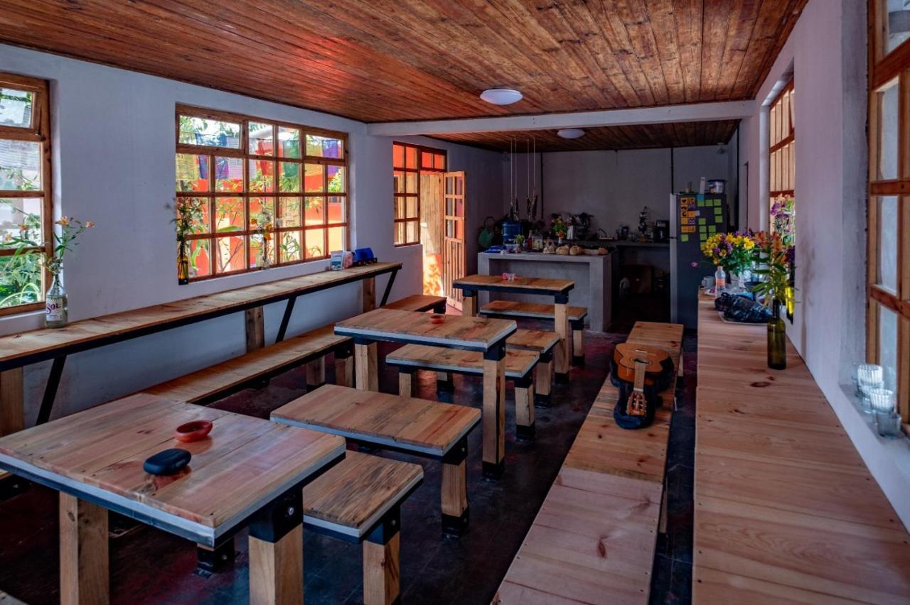 Fandango Vandrarhem San Cristóbal de Las Casas Exteriör bild